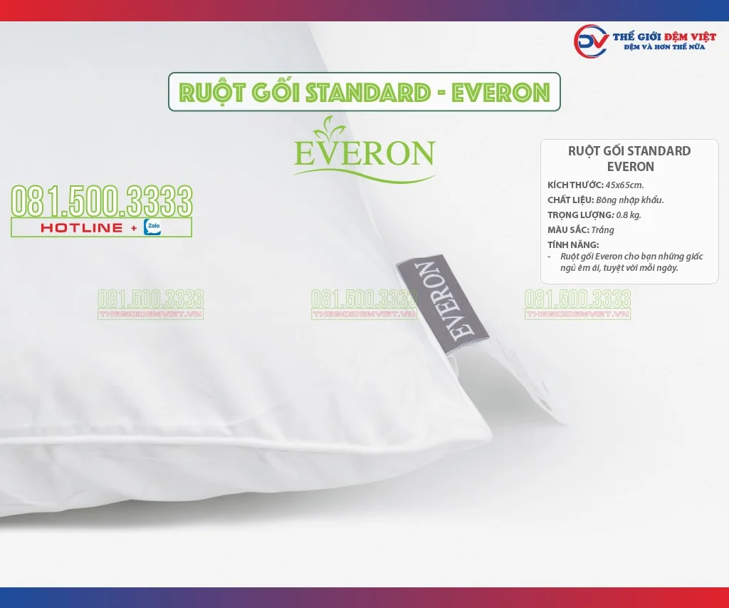 ruot-goi-standard-everon-04